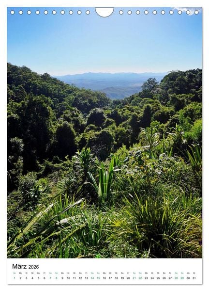 Produktbild: Regenwald - Australien (Wandkalender 2026 DIN A4 hoch), CALVENDO Monatskalender