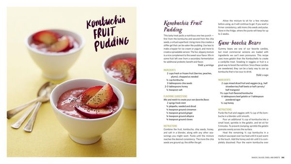 Produktbild: The Big Book of Kombucha