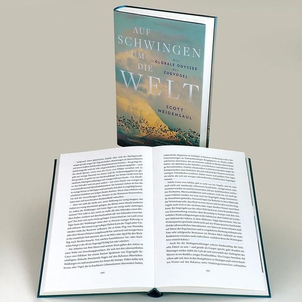 Produktbild: Auf Schwingen um die Welt