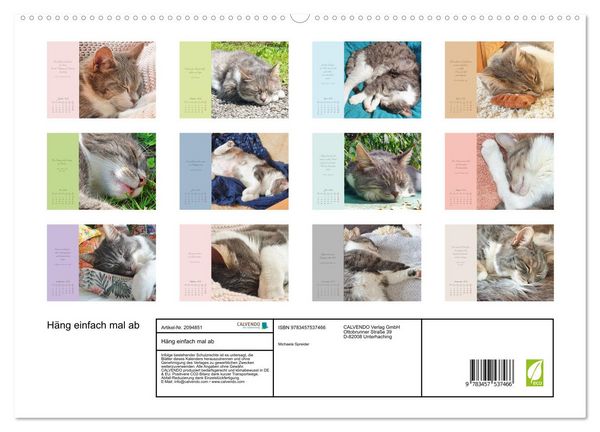 Produktbild: H&auml;ng einfach mal ab (hochwertiger Premium Wandkalender 2026 DIN A2 quer), Kunstdruck in Hochglanz