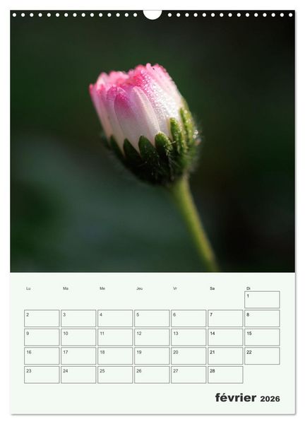 Produktbild: Fleurs en toute simplicit&eacute; - Beaut&eacute; minimaliste (Calendrier mural 2026 DIN A3 horizontal), CALVENDO calendrier mensuel
