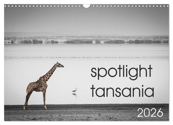 Spotlight tansania (Wandkalender 2026 DIN A3 quer), CALVENDO Monatskalender