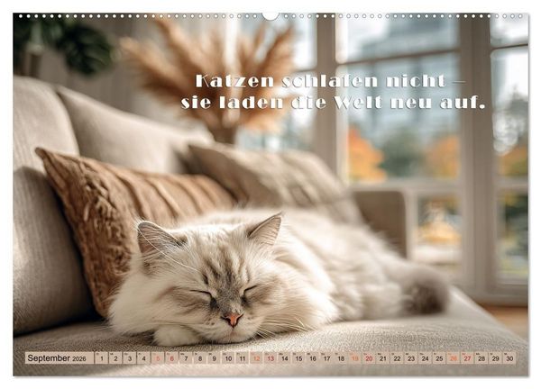 Produktbild: Miau-velous Pfotenpoesie (Wandkalender 2026 DIN A2 quer), CALVENDO Monatskalender