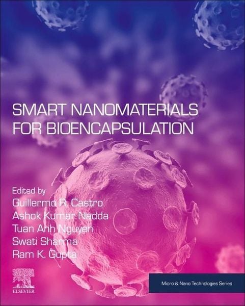 Produktbild: Smart Nanomaterials for Bioencapsulation