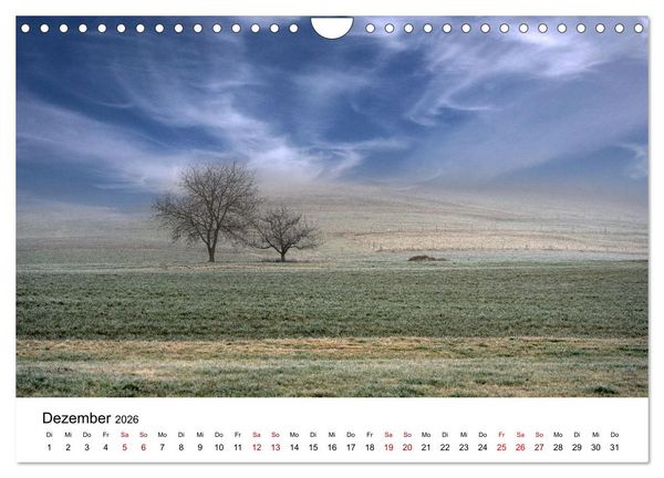 Produktbild: B&auml;ume - Wunder der Natur (Wandkalender 2026 DIN A4 quer), CALVENDO Monatskalender