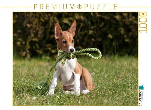 CALVENDO Puzzle Ein Motiv aus dem Kalender Süße Basenji-Kinder | 1000 Teile Lege-Größe 64x48cm Foto-Puzzle für glückliche Stunden