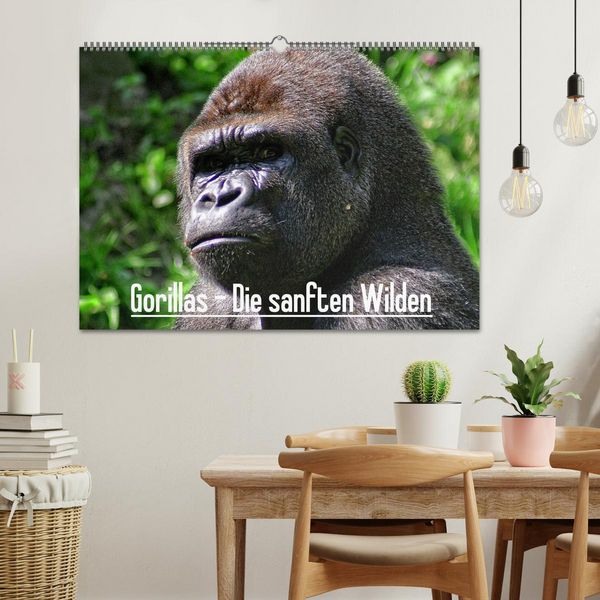 Produktbild: Gorillas - Die sanften Wilden (Wandkalender 2026 DIN A2 quer), CALVENDO Monatskalender