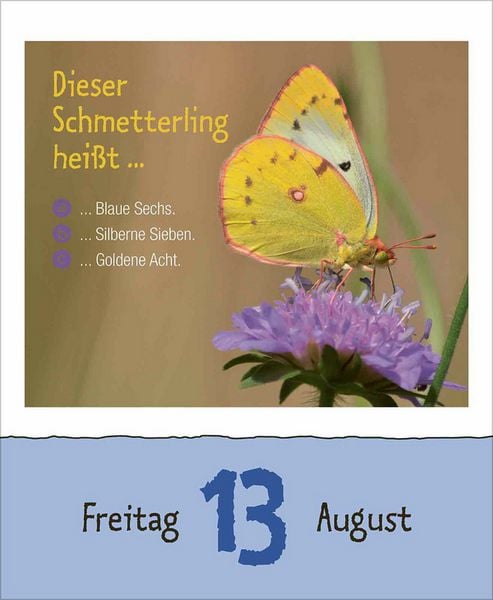 Produktbild: Wie faul ist das Faultier? 2027
