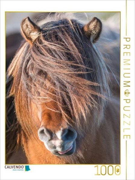 Produktbild: CALVENDO Puzzle Blondl&ouml;ckchen | 1000 Teile Lege-Gr&ouml;&szlig;e 64x48cm Foto-Puzzle f&uuml;r gl&uuml;ckliche Stunden