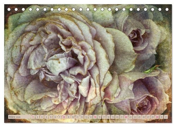 Produktbild: Rosenduft Shabby Chic Style (Tischkalender 2026 DIN A5 quer), CALVENDO Monatskalender