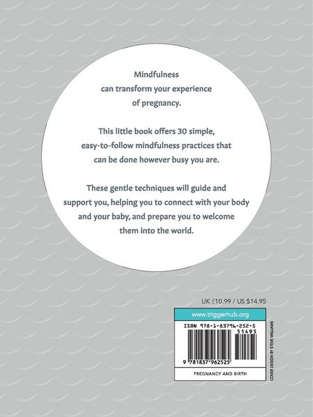 Produktbild: Warriner, S: How to Have a Mindful Pregnancy and Birth