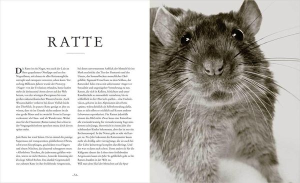 Die Seele der Tiere. Gesichter. Gefühle. Geschichten