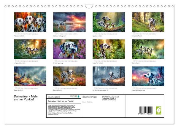 Produktbild: Dalmatiner - Mehr als nur Punkte! (Wandkalender 2027 DIN A3 quer), CALVENDO Monatskalender