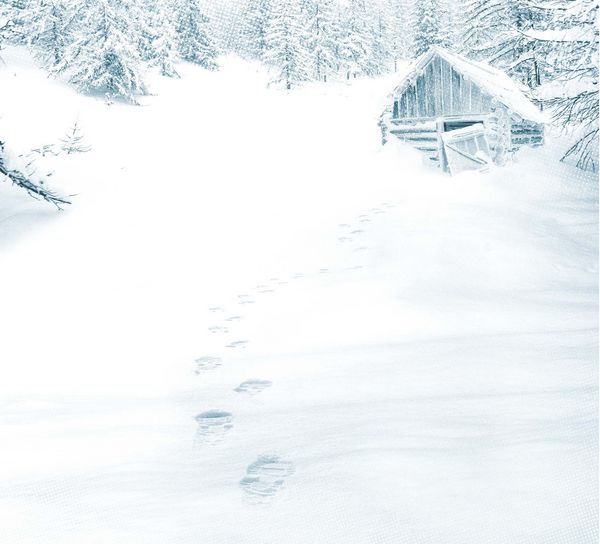 Produktbild: Kant und der sechste Winter