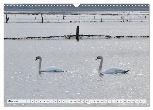 Produktbild: Hochwasser als Teil der Umwelt (Wandkalender 2026 DIN A3 quer), CALVENDO Monatskalender