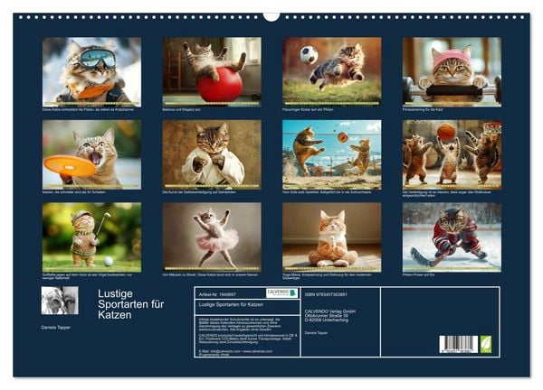 Produktbild: Lustige Sportarten f&uuml;r Katzen (Wandkalender 2026 DIN A2 quer), CALVENDO Monatskalender