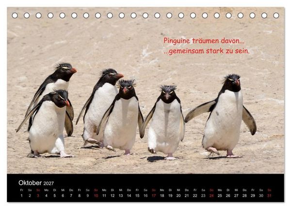 Produktbild: Wovon Pinguine tr&auml;umen (Tischkalender 2027 DIN A5 quer), CALVENDO Monatskalender