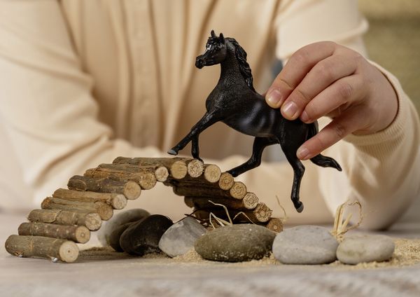 Produktbild: schleich&reg; 13981 Araber Hengst