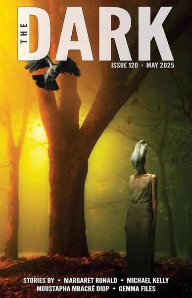 Produktbild: The Dark Issue 120
