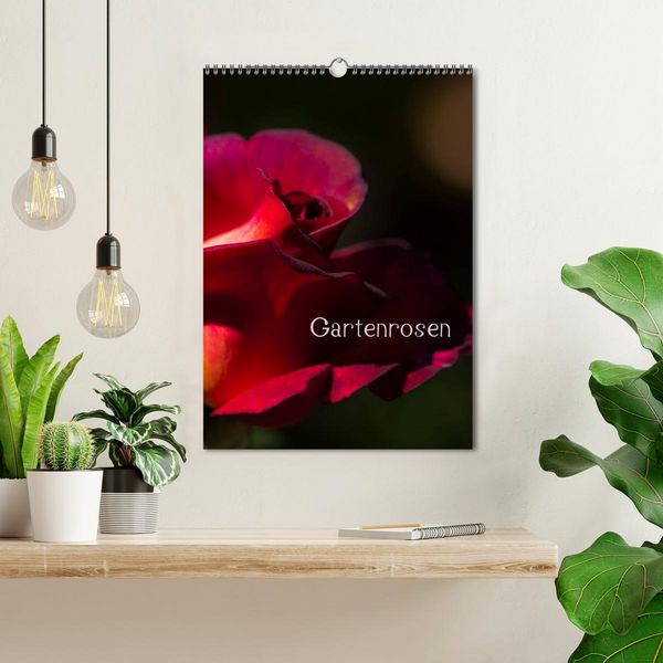 Produktbild: Gartenrosen (Wandkalender 2026 DIN A3 hoch), CALVENDO Monatskalender
