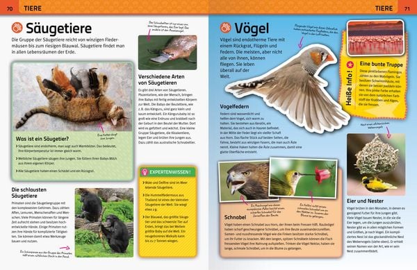 Produktbild: Das gro&szlig;e Ravensburger Grundschulwissen