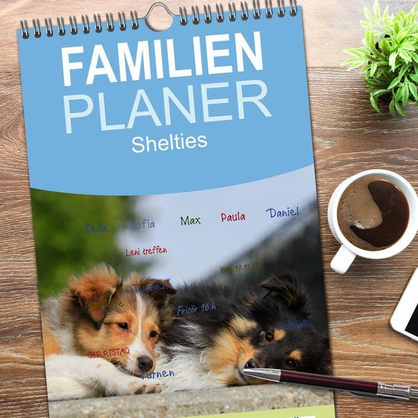 Produktbild: Familienplaner 2026 - Shelties 2026 mit 5 Spalten (Wandkalender, 21 x 45 cm) CALVENDO