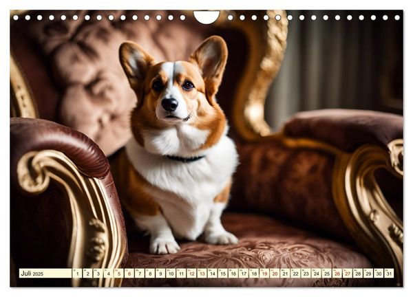 Welsh Corgi Pembroke (Wandkalender 2025 DIN A4 quer), CALVENDO Monatskalender