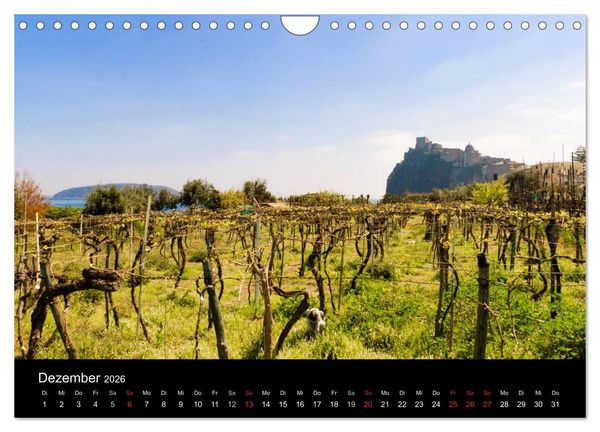 Produktbild: Insel Ischia (Wandkalender 2026 DIN A4 quer), CALVENDO Monatskalender