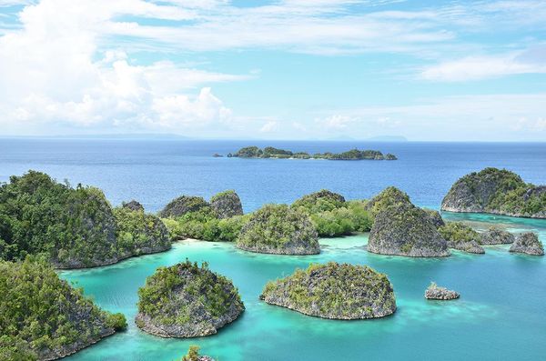 Produktbild: Neuseeland, Papua und Vanuatu