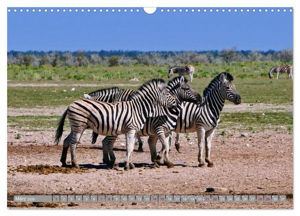 Produktbild: Namibia - Von Nord nach S&uuml;d (Wandkalender 2026 DIN A3 quer), CALVENDO Monatskalender