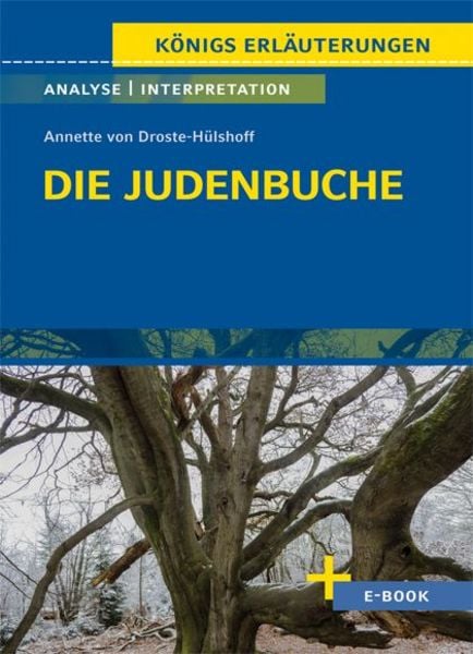 Die Judenbuche von Annette von Droste-Hülshoff, Taschenbuch von Annette von Droste-Hülshoff, Klett Lerntraining bei PONS Langenscheidt GmbH,