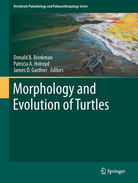 Produktbild: Morphology and Evolution of Turtles