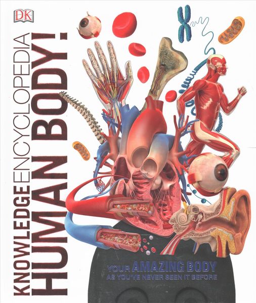 Produktbild: Knowledge Encyclopedia Human Body!