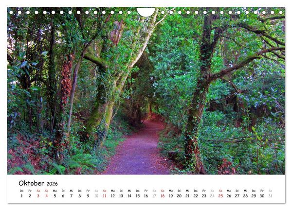 Produktbild: Jakobsweg - Camino Ingles (Wandkalender 2026 DIN A4 quer), CALVENDO Monatskalender
