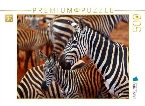 CALVENDO Puzzle Zebras im Tsavo Ost | 500 Teile Lege-Größe 48 × 36 cm Foto-Puzzle für Erwachsene