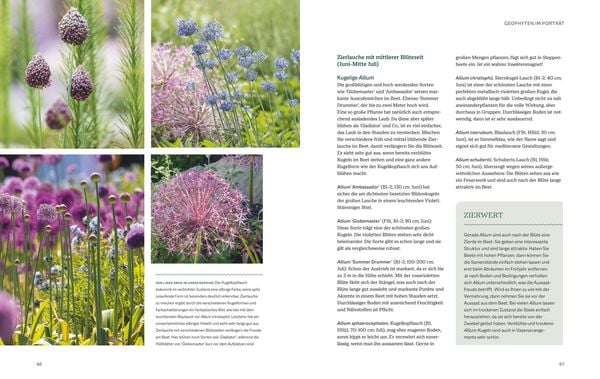 Produktbild: Robuste Traumbeete gestalten