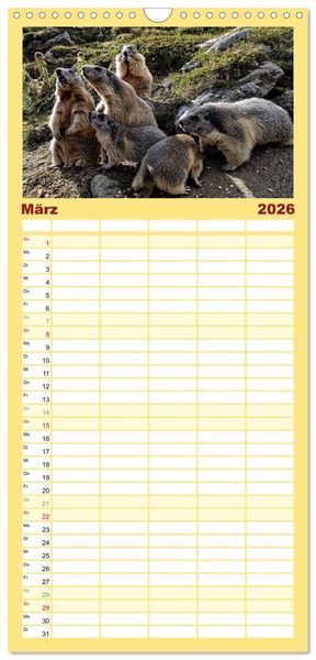 Produktbild: Familienplaner 2026 - Und ewig pfeift das Murmeltier mit 5 Spalten (Wandkalender, 21 x 45 cm) CALVENDO