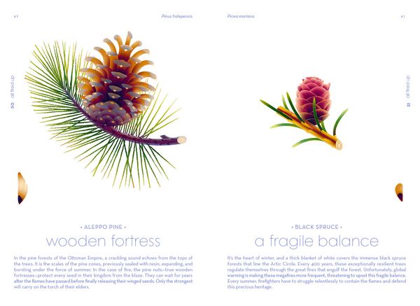 Produktbild: Seeds
