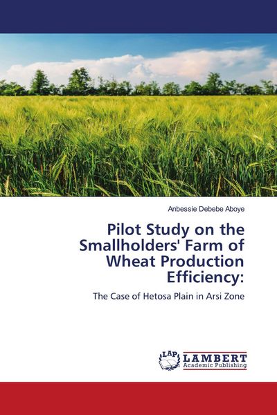 Produktbild: Pilot Study on the Smallholders' Farm of Wheat Production Efficiency:
