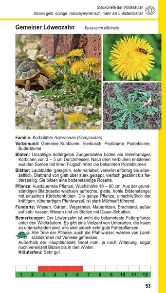 Produktbild: Landschildkr&ouml;ten-Futterpflanzen