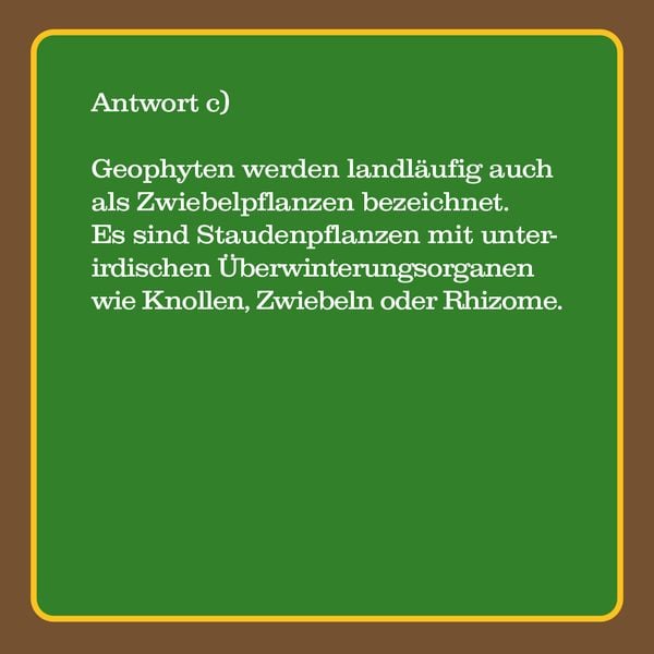 Produktbild: Das Garten-Quiz