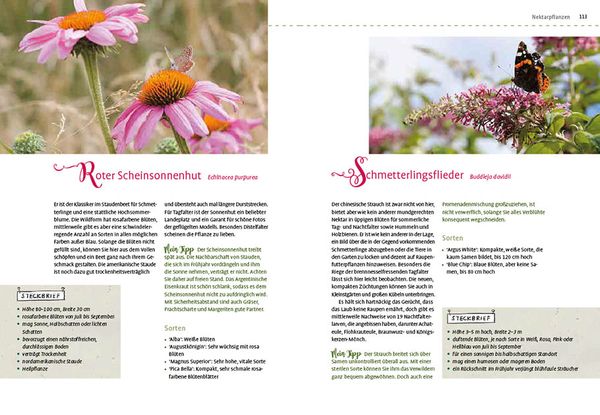 Produktbild: Mein Schmetterlingsgarten
