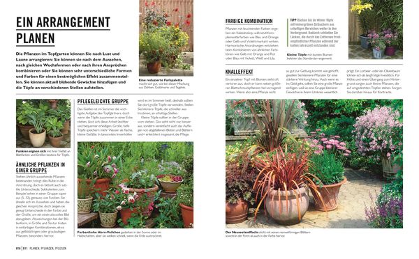 Produktbild: Gr&uuml;nes Gartenwissen. Pflanzen im Topf