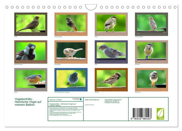 Produktbild: Vogelportr&auml;ts - Heimische V&ouml;gel auf meinem Balkon (Wandkalender 2026 DIN A4 quer), CALVENDO Monatskalender