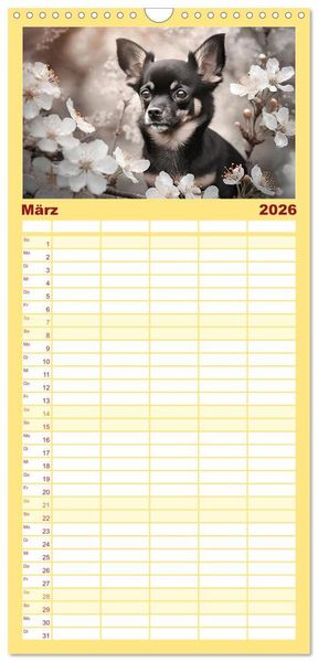 Produktbild: Familienplaner 2026 - Chihuahuas - Kleine Hunde - gro&szlig;e Temperamentb&uuml;ndel mit 5 Spalten (Wandkalender, 21 x 45 cm) CALVENDO