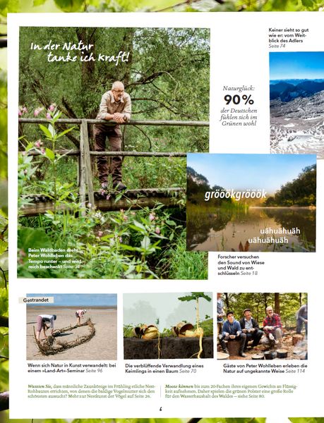 Produktbild: Wohllebens Welt / Wohllebens Welt 1/2019 - Ein neuer Blick auf die Natur