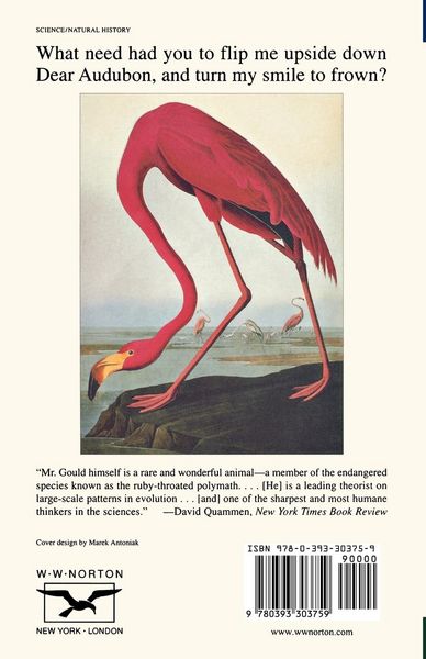 Produktbild: The Flamingo's Smile