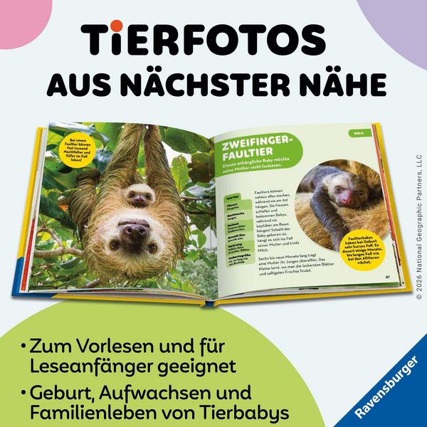 Produktbild: National Geographic Kids - Die tollsten Tierbabys aus aller Welt