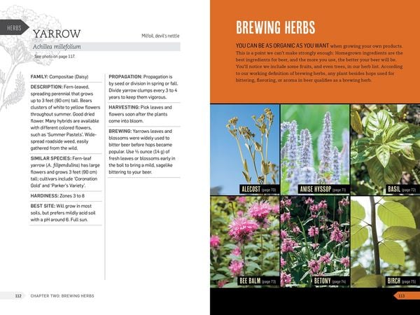 Produktbild: The Homebrewer's Garden, 2nd Edition