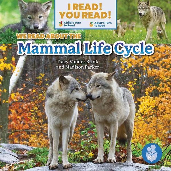 Produktbild: We Read about the Mammal Life Cycle